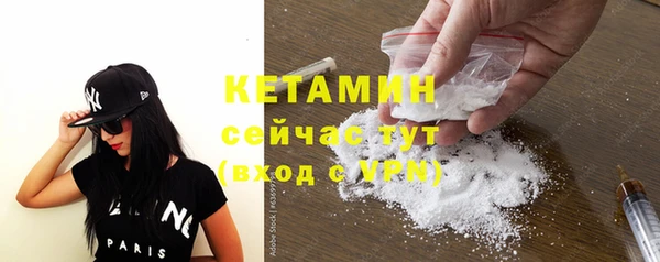 трава Гвардейск