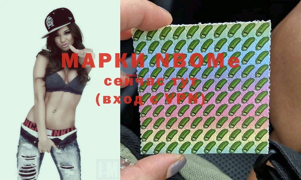 хмурый Гатчина