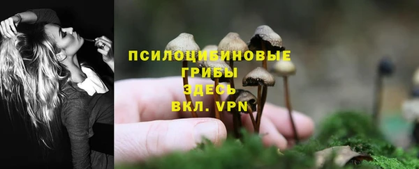 марки lsd Болхов