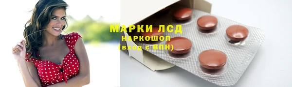 трава Гвардейск