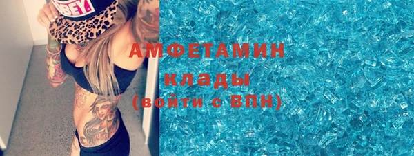 трава Гвардейск
