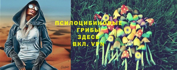 тгк Болотное
