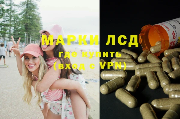 шишки Усолье-Сибирское