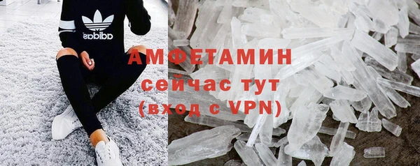 трава Гвардейск
