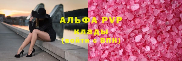хмурый Гатчина
