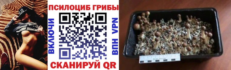 Галлюциногенные грибы мухоморы  Вольск 