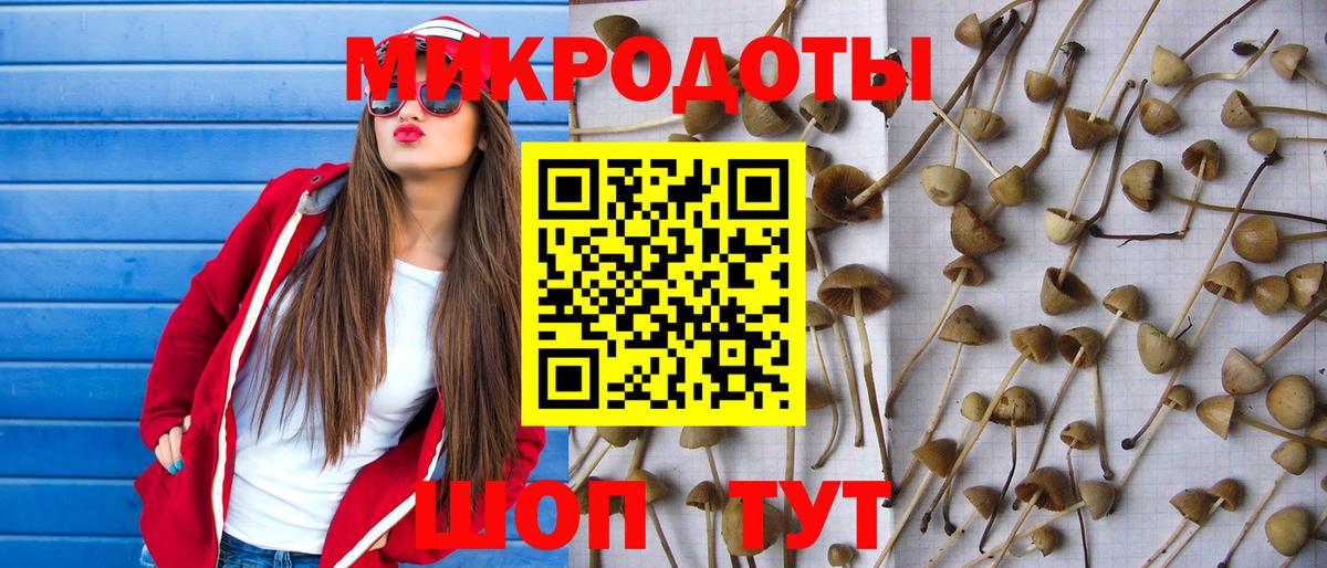Галлюциногенные грибы Cubensis  Псилоцибиновые грибы мухоморы  Вольск  Вход с VPN 