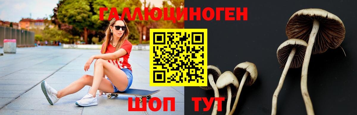 Псилоцибиновые грибы GOLDEN TEACHER  Галлюциногенные грибы Psilocybine cubensis  Вольск 