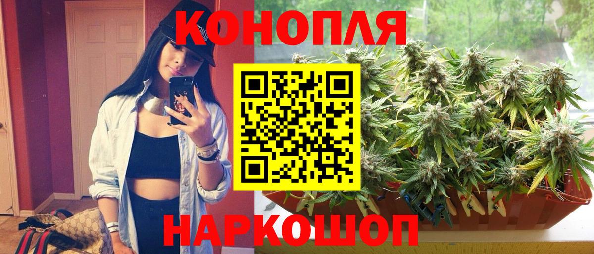 Бошки марихуана сатива Вольск